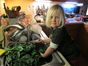 Sylva Washing Kale