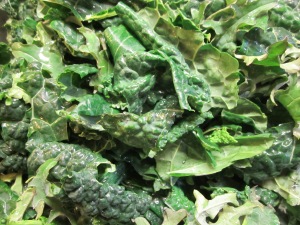 Fluffy Green Kale!